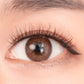 Soft Magnetic Eyelashes - Camellia (Brown)